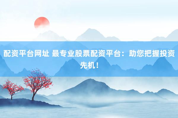 配资平台网址 最专业股票配资平台：助您把握投资先机！