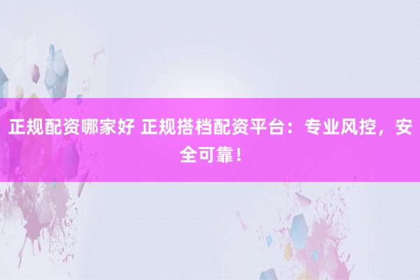 正规配资哪家好 正规搭档配资平台：专业风控，安全可靠！