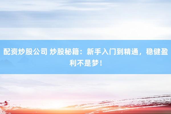 配资炒股公司 炒股秘籍：新手入门到精通，稳健盈利不是梦！
