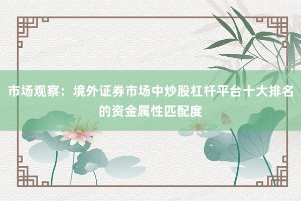市场观察：境外证券市场中炒股杠杆平台十大排名的资金属性匹配度