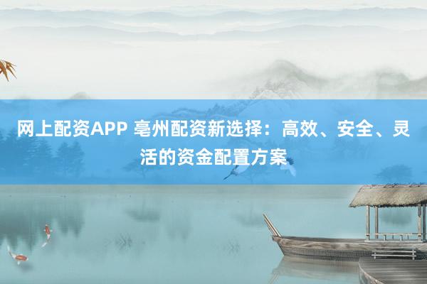 网上配资APP 亳州配资新选择：高效、安全、灵活的资金配置方案