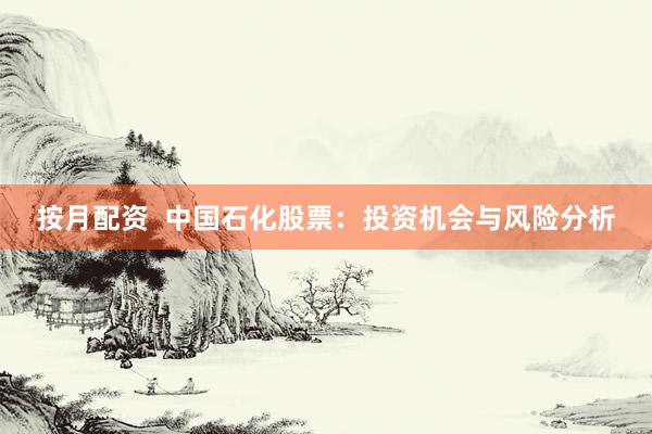 按月配资  中国石化股票：投资机会与风险分析