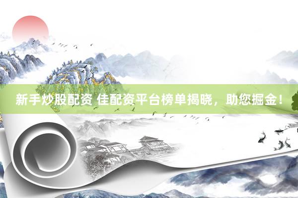 新手炒股配资 佳配资平台榜单揭晓，助您掘金！